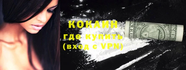 ГАЛЛЮЦИНОГЕННЫЕ ГРИБЫ Гусь-Хрустальный