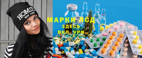 СК Гусев