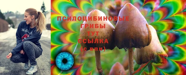СК Гусев