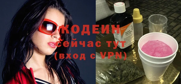 ГАЛЛЮЦИНОГЕННЫЕ ГРИБЫ Гусь-Хрустальный